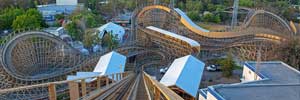 Gold Striker