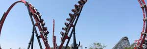 Harley Quinn Crazy Coaster