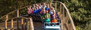 Mystic Timbers