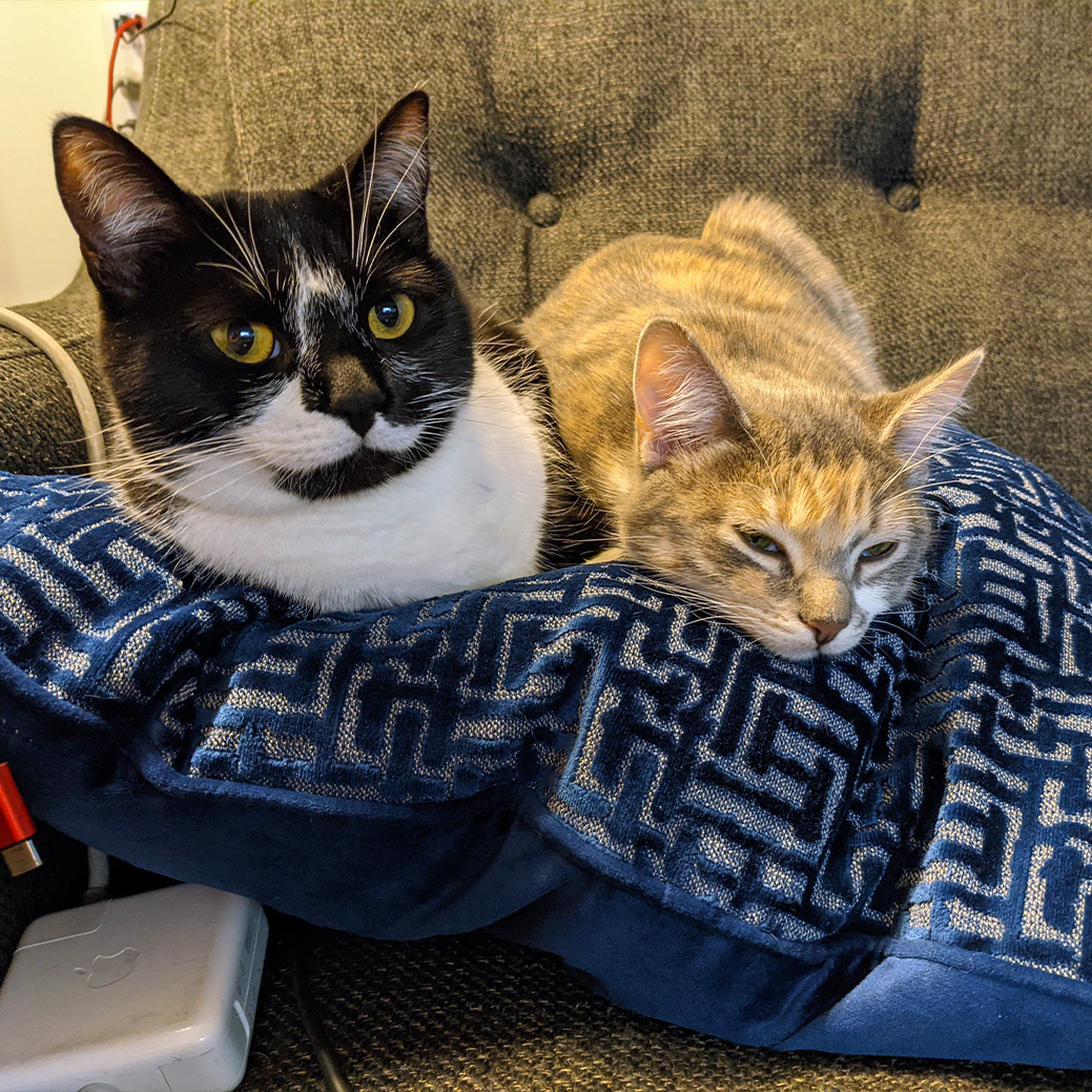 Frankie and Junebug